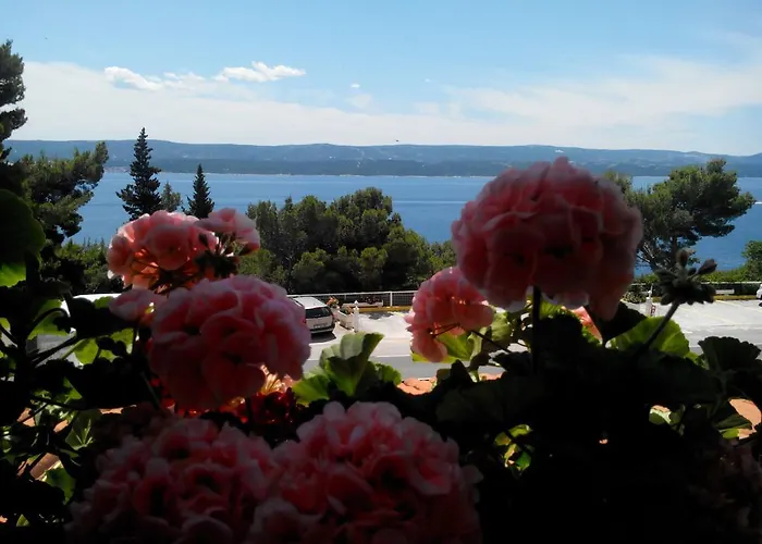 Ljetni San Bed and Breakfast Omiš